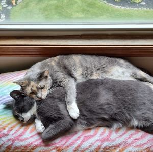 Meet your Posher, Patricia